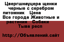 Цвергшнауцера щенки черные с серебром питомник › Цена ­ 30 000 - Все города Животные и растения » Собаки   . Тыва респ.